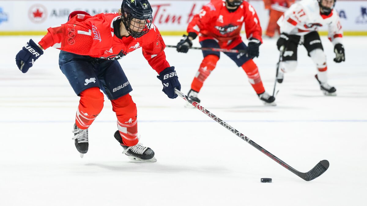 CCM Verkaufsshop -CCM Verkaufsshop 2